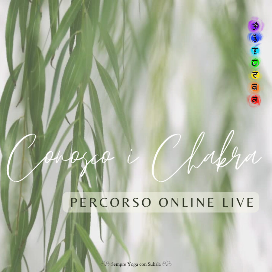 Conosco i Chakra