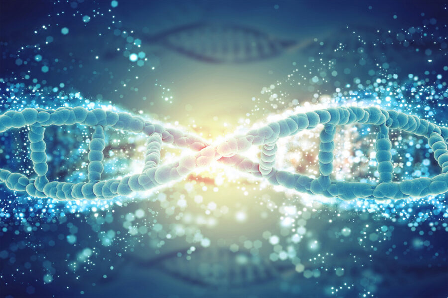 Conferenza: I 12 Strati del DNA