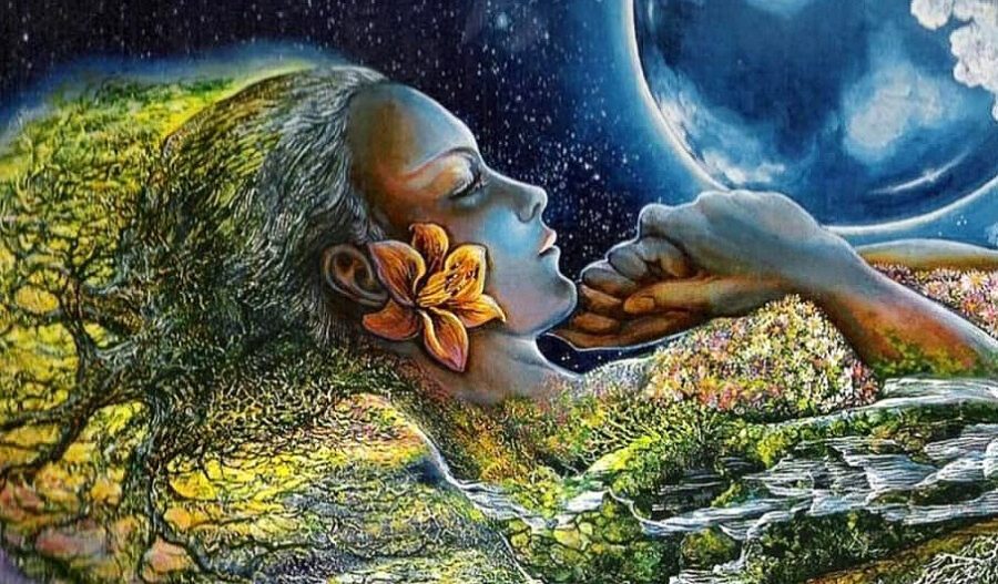 Serata olistica: Vedo, Guardo, Percepisco