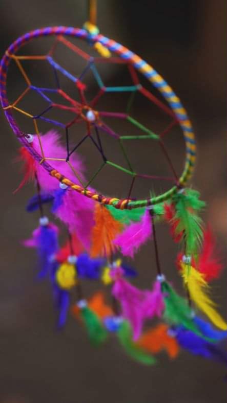 Accademia di Arti Sciamaniche Integrate