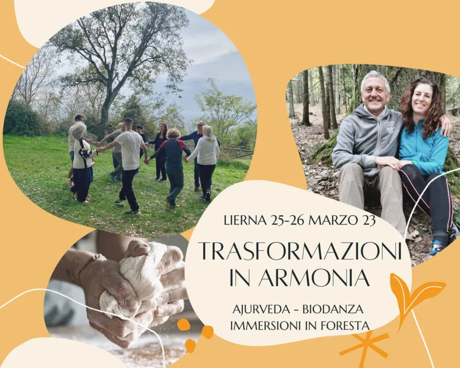 Trasformazioni in Armonia