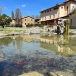 Agorà - Centro e spazio per gruppi