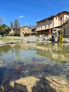 Agorà - Centro e spazio per gruppi