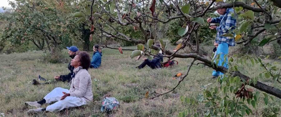 Ritiro di meditazione: Amore e Gioia