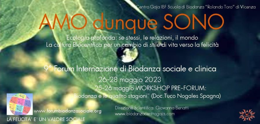 Forum internazionale Biodanza sociale