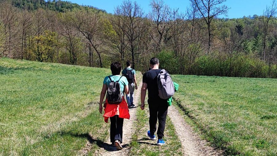 Ritiro di meditazione camminata