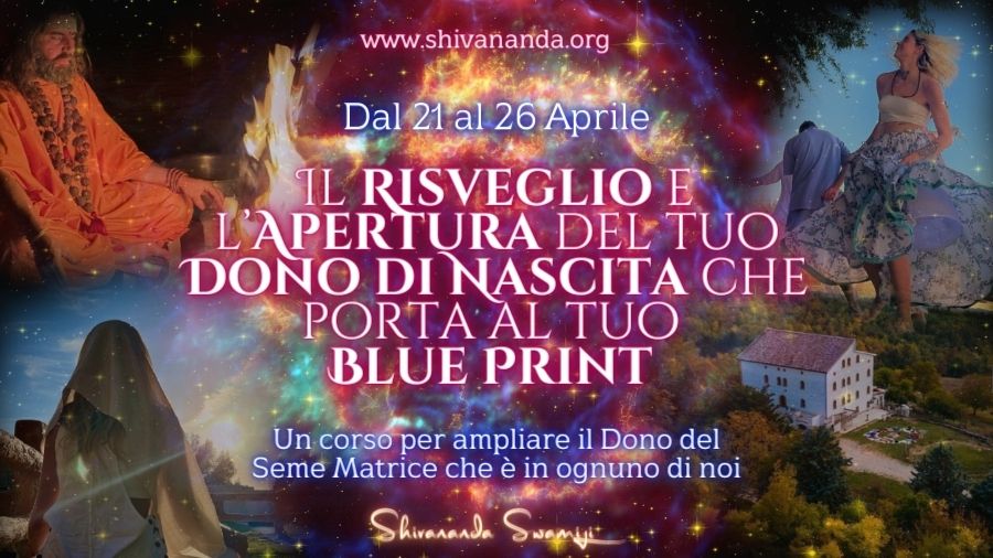 Awaken and Discover your Soul Gifts