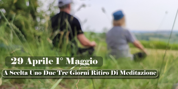 Ritiro di meditazione Forest Bathing