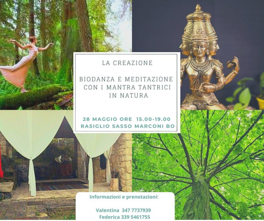 La Creazione Biodanza e meditazione