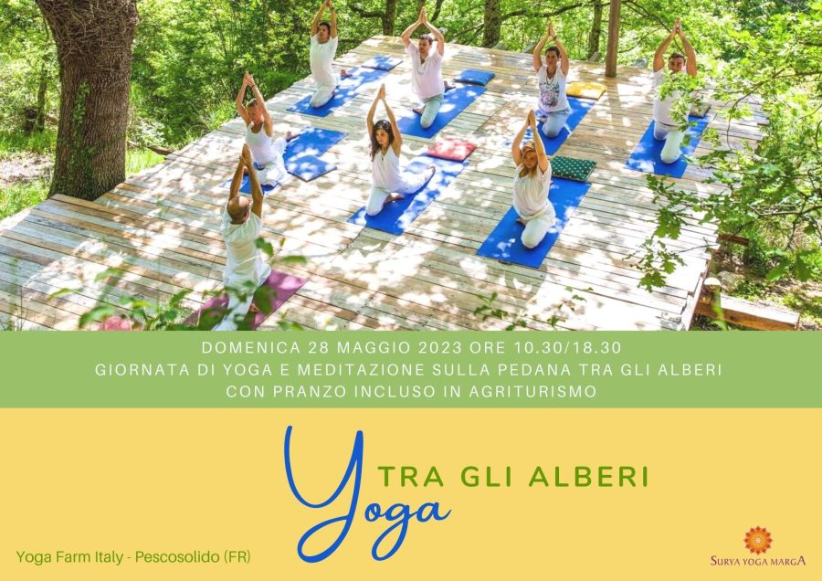 Yoga tra gli alberi