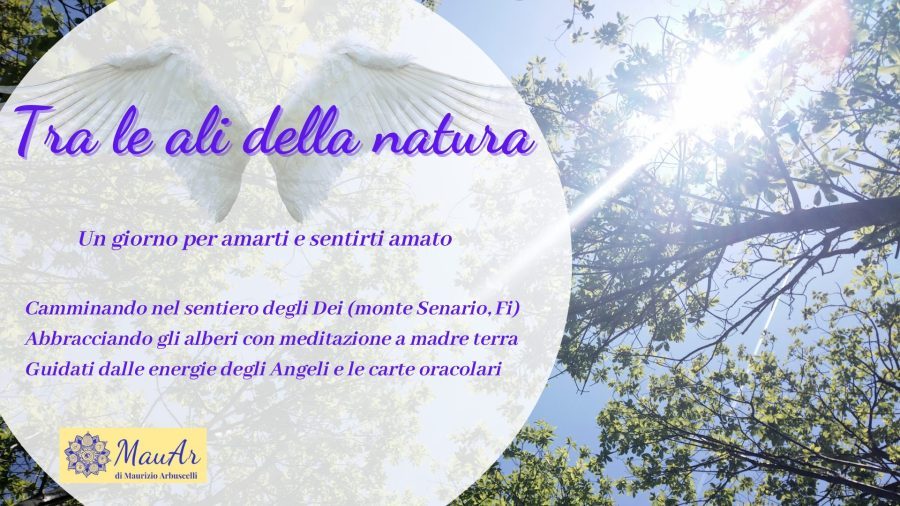 Tra le ali della natura