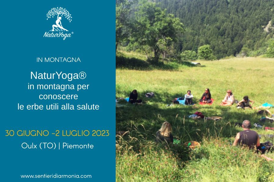 Yoga in montagna per conoscere le erbe