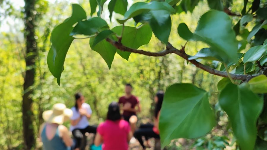 Ritiro di meditazione amore e gioia