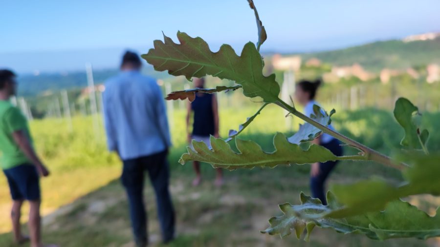 Ritiro di Meditazione Depurativa