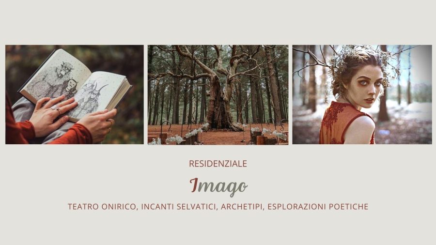 Imago - Alchimie interiori