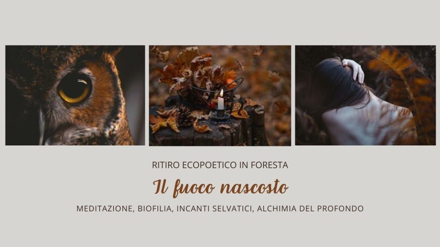 Ritiro ecopoetico in foresta