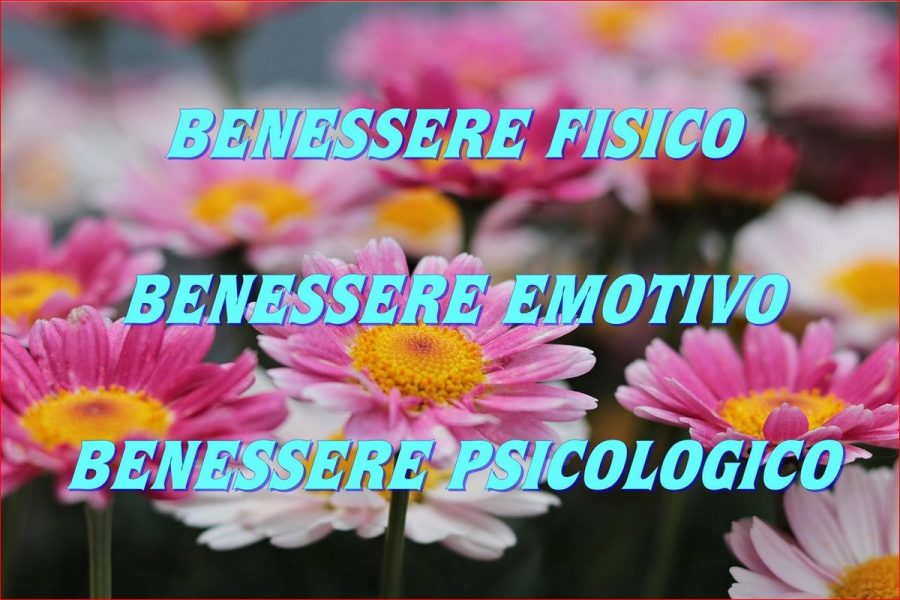 Conferenza: i trattamenti energetici