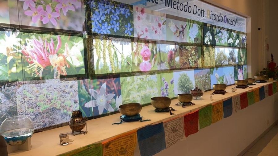 Accademia Naturopatia e Floriterapia Ippocrate
