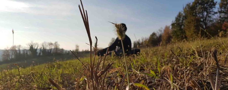 Ritiro di meditazione depurativa Nel bosco