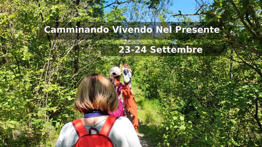Ritiro di meditazione camminata