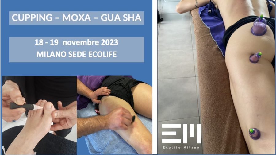 Corso coppettazione, moxa e gua-sha