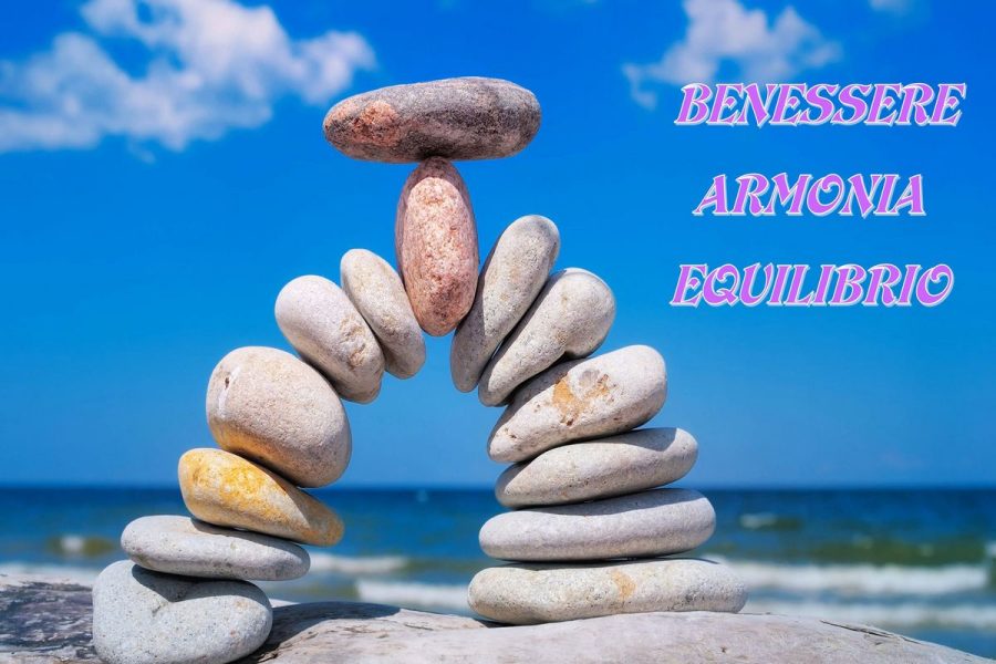 Conferenza: I Trattamenti Energetici