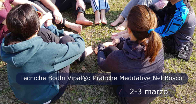 Ritiro di Meditazione Forest Bathing