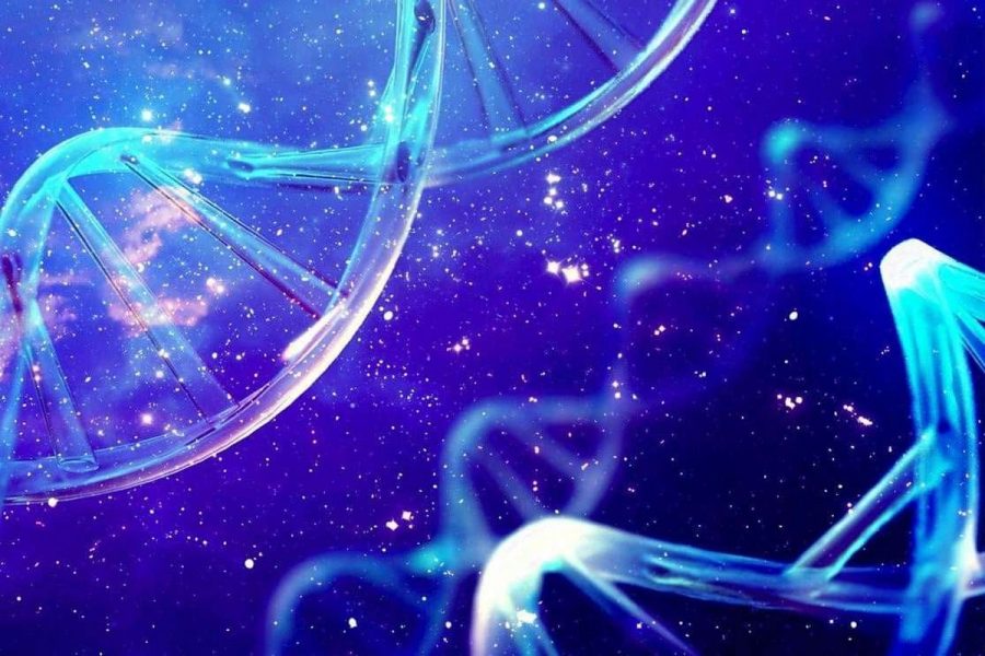 Workshop: I 12 Strati del DNA