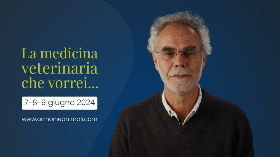 La medicina veterinaria che vorrei