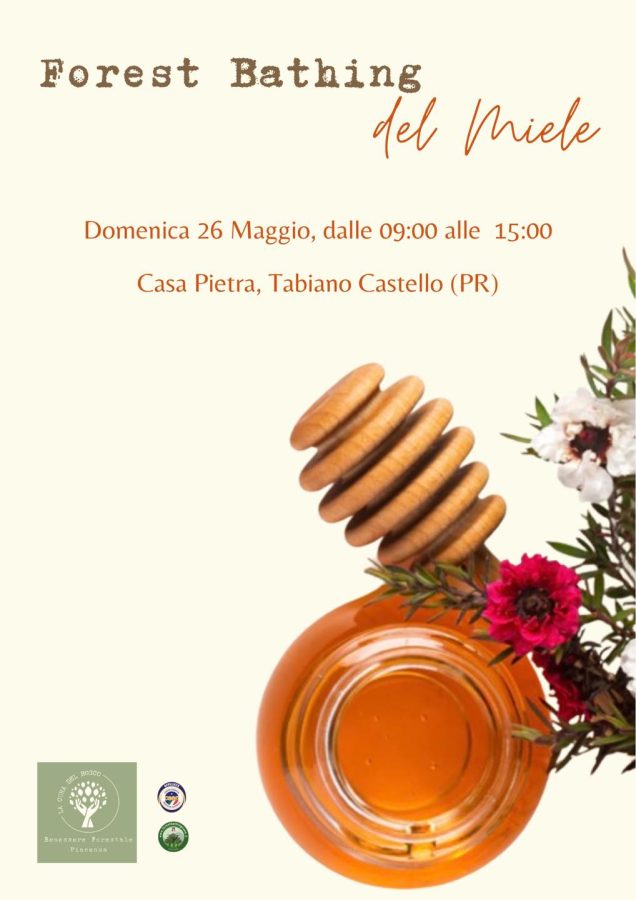 Forest Bathing del miele
