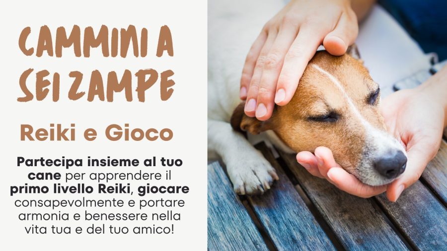 Primo livello Reiki con il tuo cane!