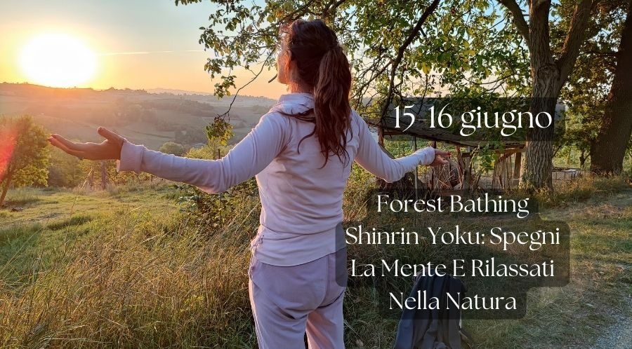 Ritiro di Meditazione Bagno di Foresta