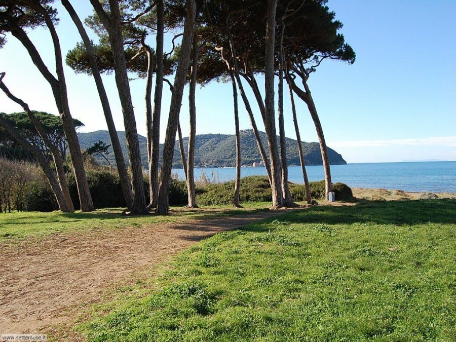 Yoga, mare, walk e massaggi thai