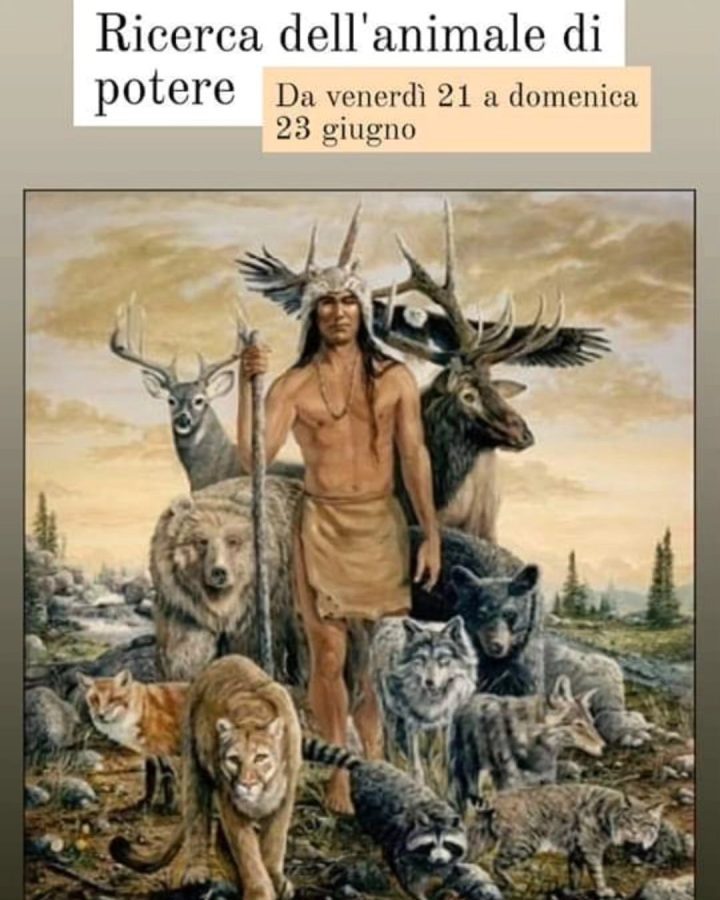 Ricerca dell'animale di potere
