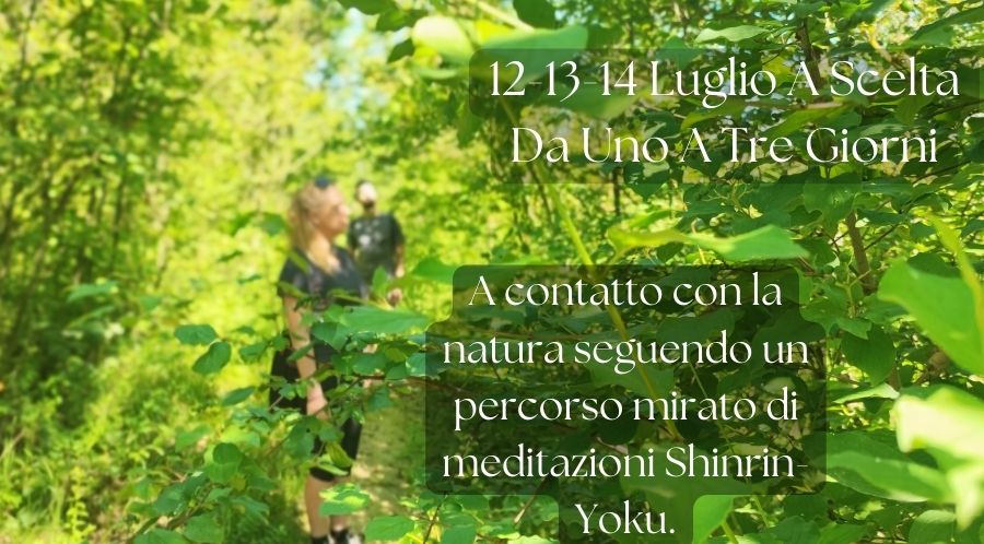 Ritiro di Meditazione Forest Bathing
