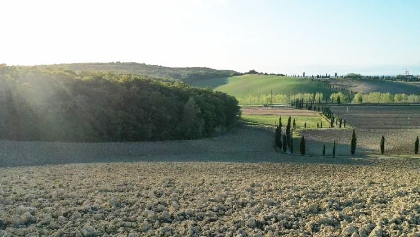 Tenuta Bella Vista