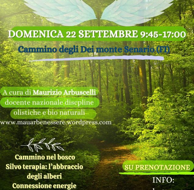 Tra le ali della natura cammino abbraccio