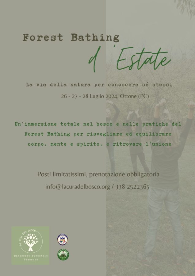 Forest Bathing d'estate - Ritiro intensivo