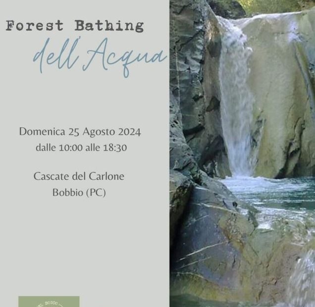 Forest Bathing dell'acqua