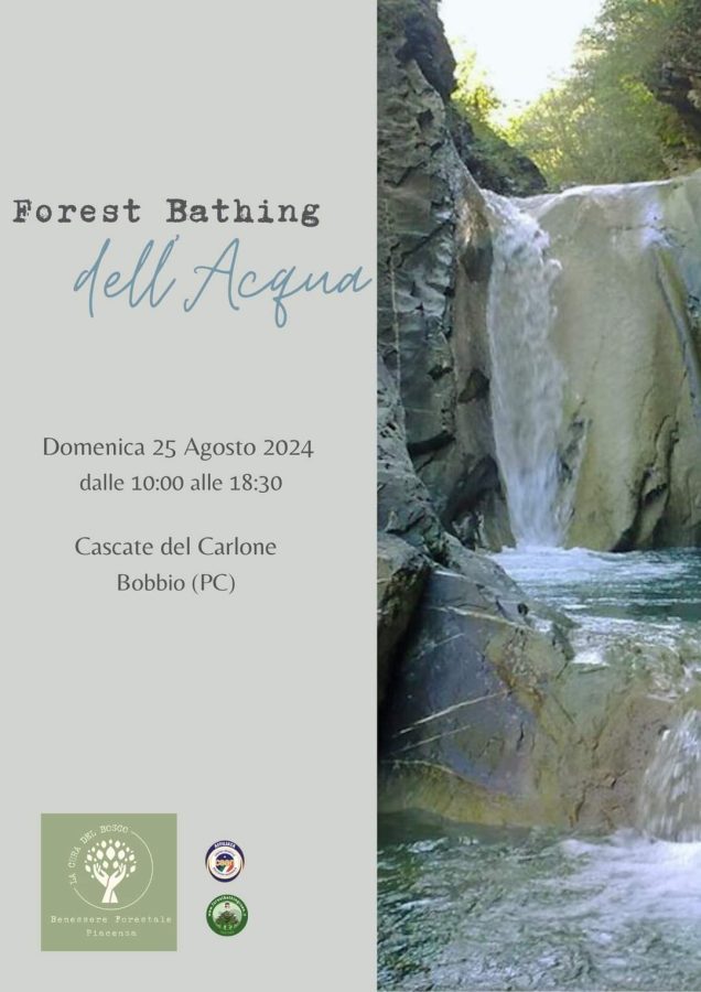 Forest Bathing dell'acqua