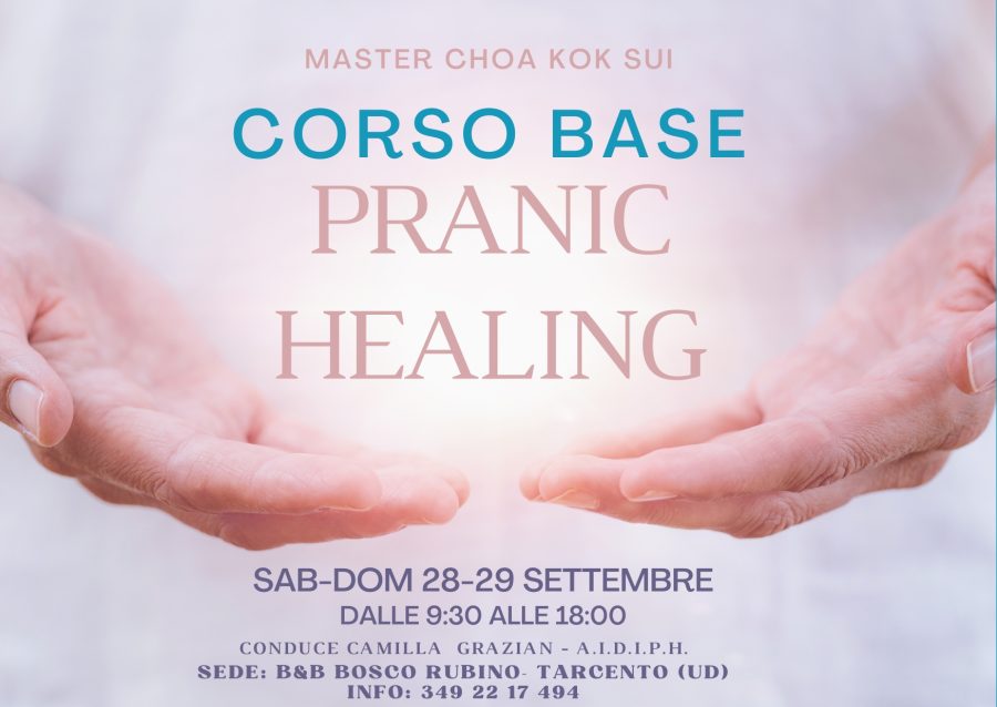 Corso Base Pranic Healing
