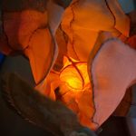 Fiori di luce
