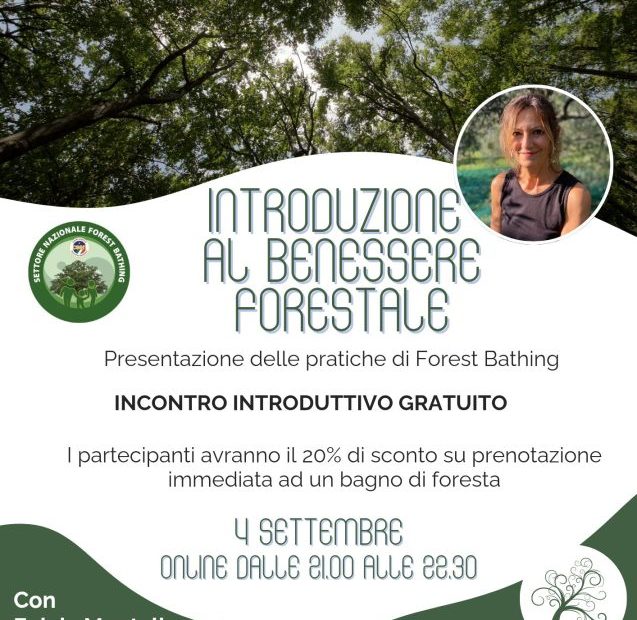 Introduzione al benessere forestale