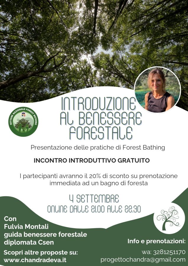 Introduzione al benessere forestale