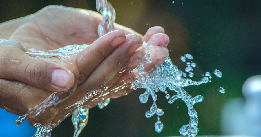 Nutrire il corpo, risvegliare l’anima!