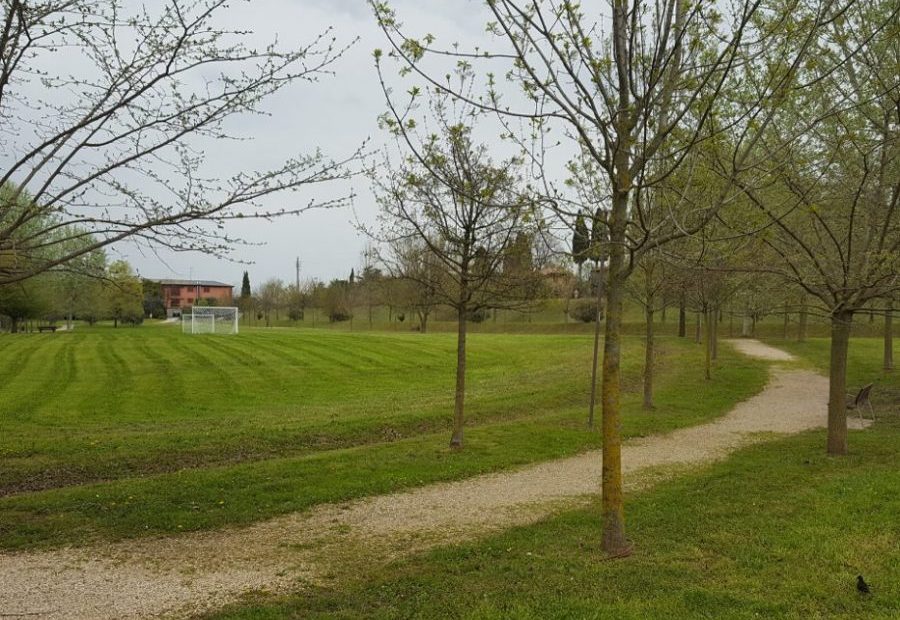 Lezione prova di Camminata Metabolica