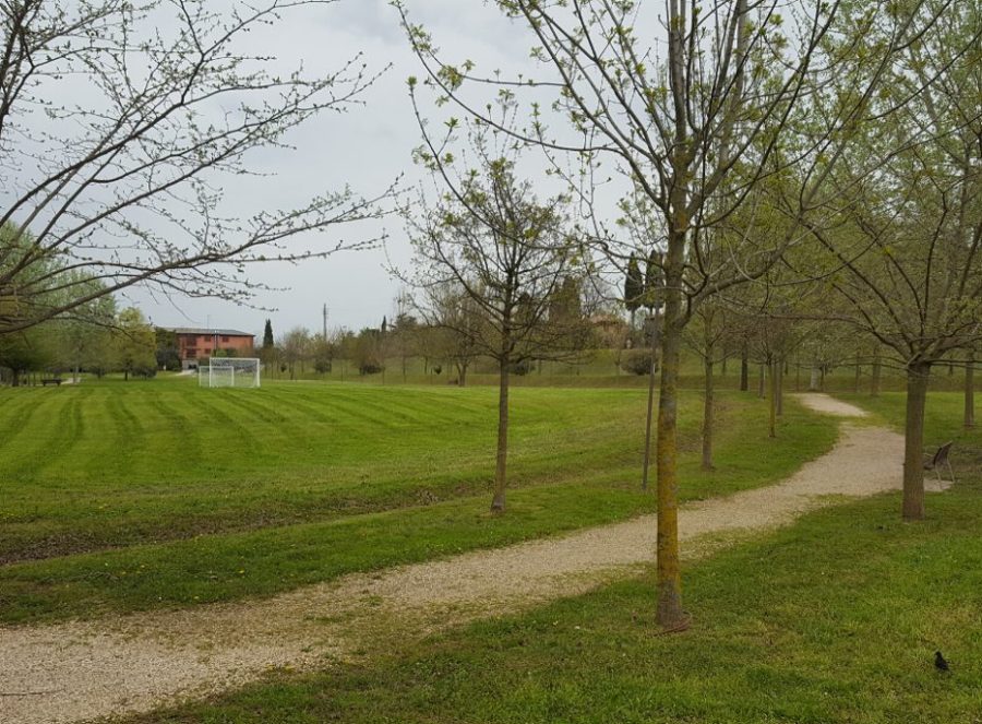 Lezione prova di Camminata Metabolica