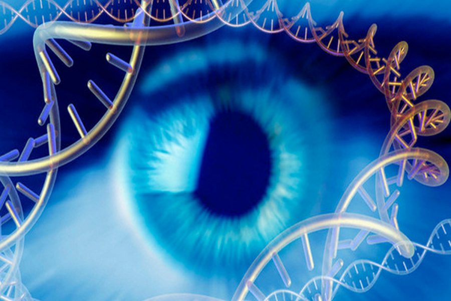 Workshop: I 12 Strati del DNA