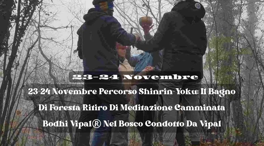 Ritiro di meditazione nel bosco