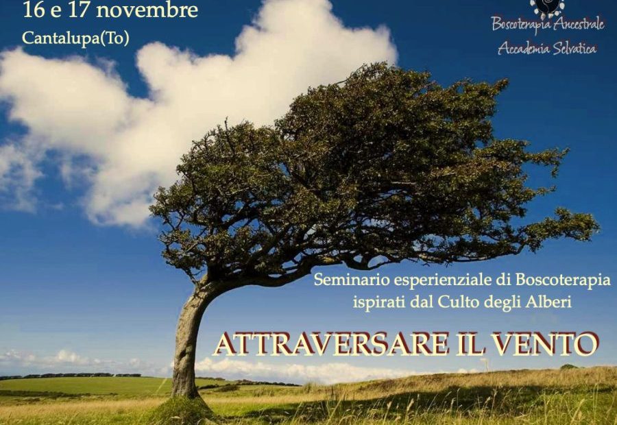 Boscoterapia®: "attraversare il vento"